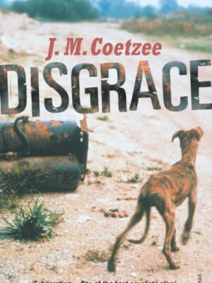 Disgrace