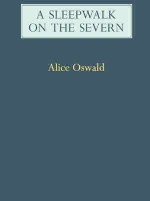 A Sleepwalk on the Severn