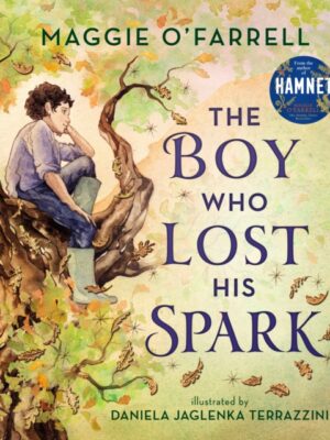 The Boy Who Lost His Spark