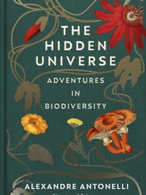 The Hidden Universe