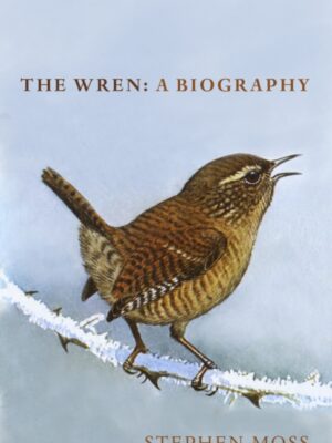 The Wren