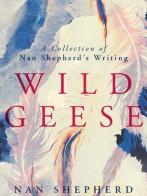 Wild Geese