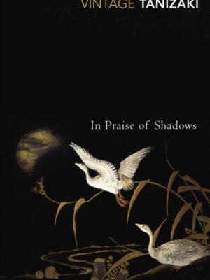 In Praise of Shadows