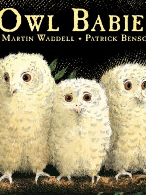 Owl Babies