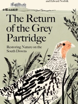 The Return of the Grey Partridge