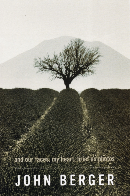 and our faces, my heart, brief as photos