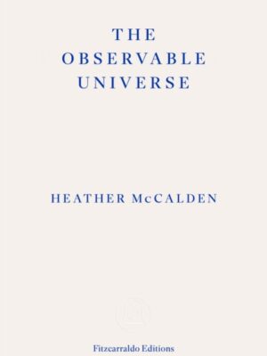 The Observable Universe