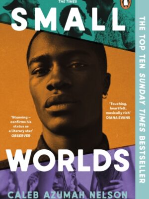 Small Worlds
