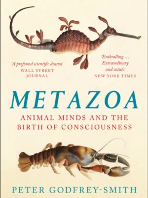 Metazoa