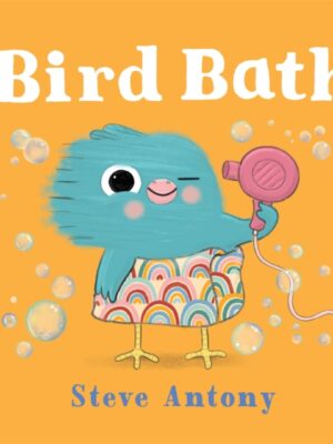 Bird Bath