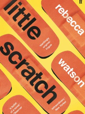 little scratch : Shortlisted for The Goldsmiths Prize 2021