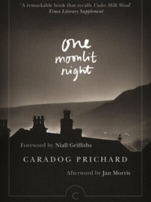 One Moonlit Night