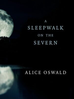 A Sleepwalk on the Severn