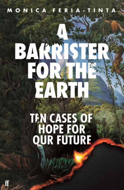 A Barrister for the Earth : Ten Cases of Hope for Our Future