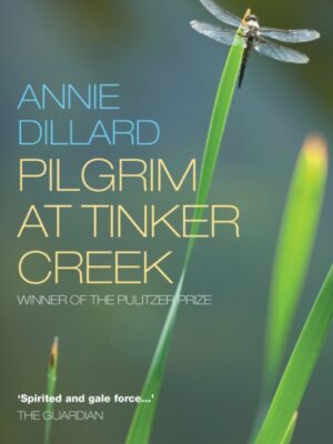 Pilgrim at Tinker Creek