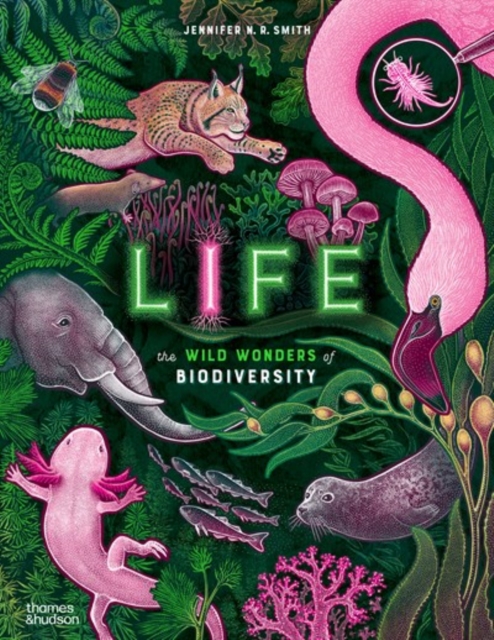 Life : The wild wonders of biodiversity