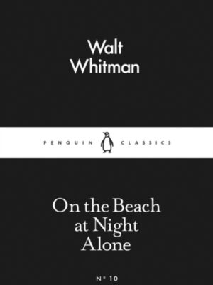 On the Beach at Night Alone