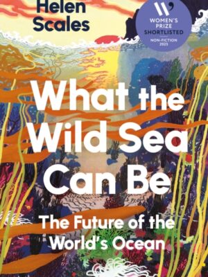 What the Wild Sea Can Be