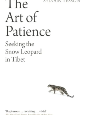 The Art of Patience: Seeking the Snow Leopard in Tibet