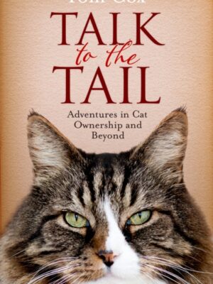 Talk to the Tail