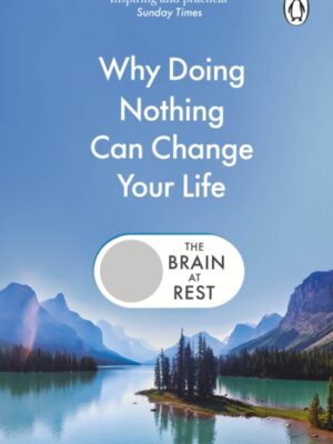 The Brain at Rest