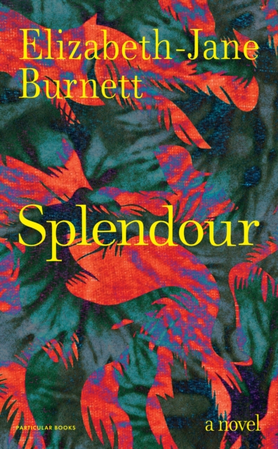 Splendour