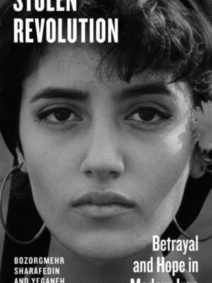 Stolen Revolution