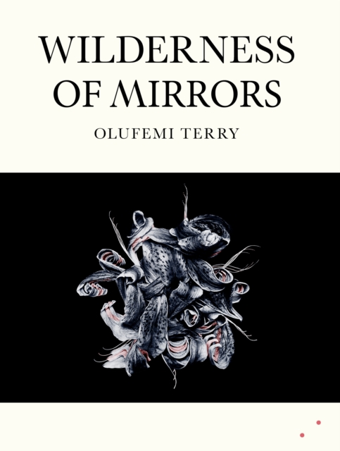 Wilderness of Mirrors