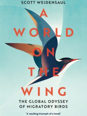 A World on the Wing