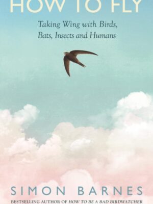 How to Fly