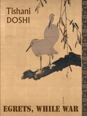 Egrets, While War