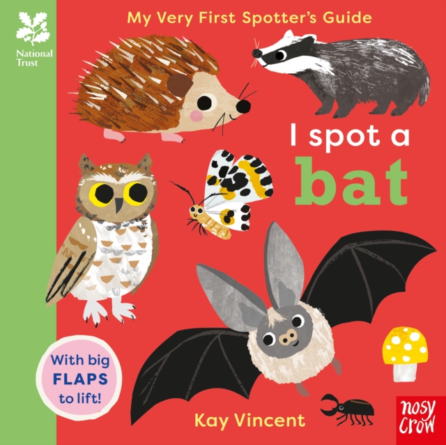 National Trust: I Spot A Bat